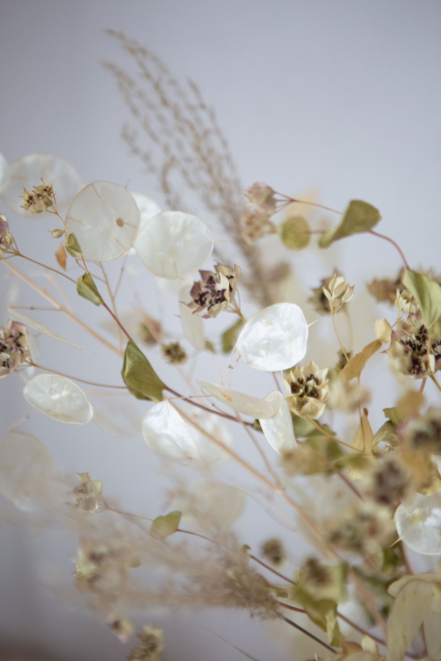 Trockenblumenstrauss Luftig