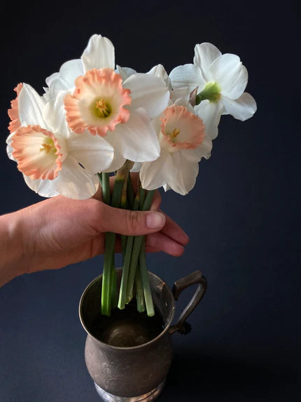 Tipps für Schnittblumen in der Vase