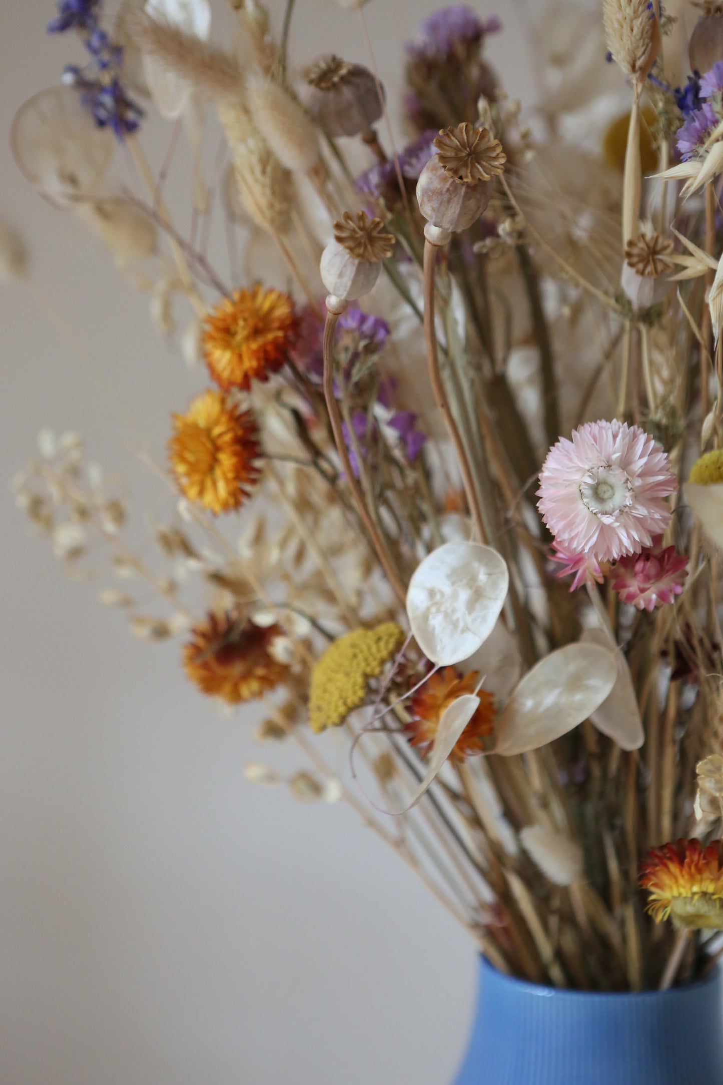 Trockenblumen für Maxi-Sträusse