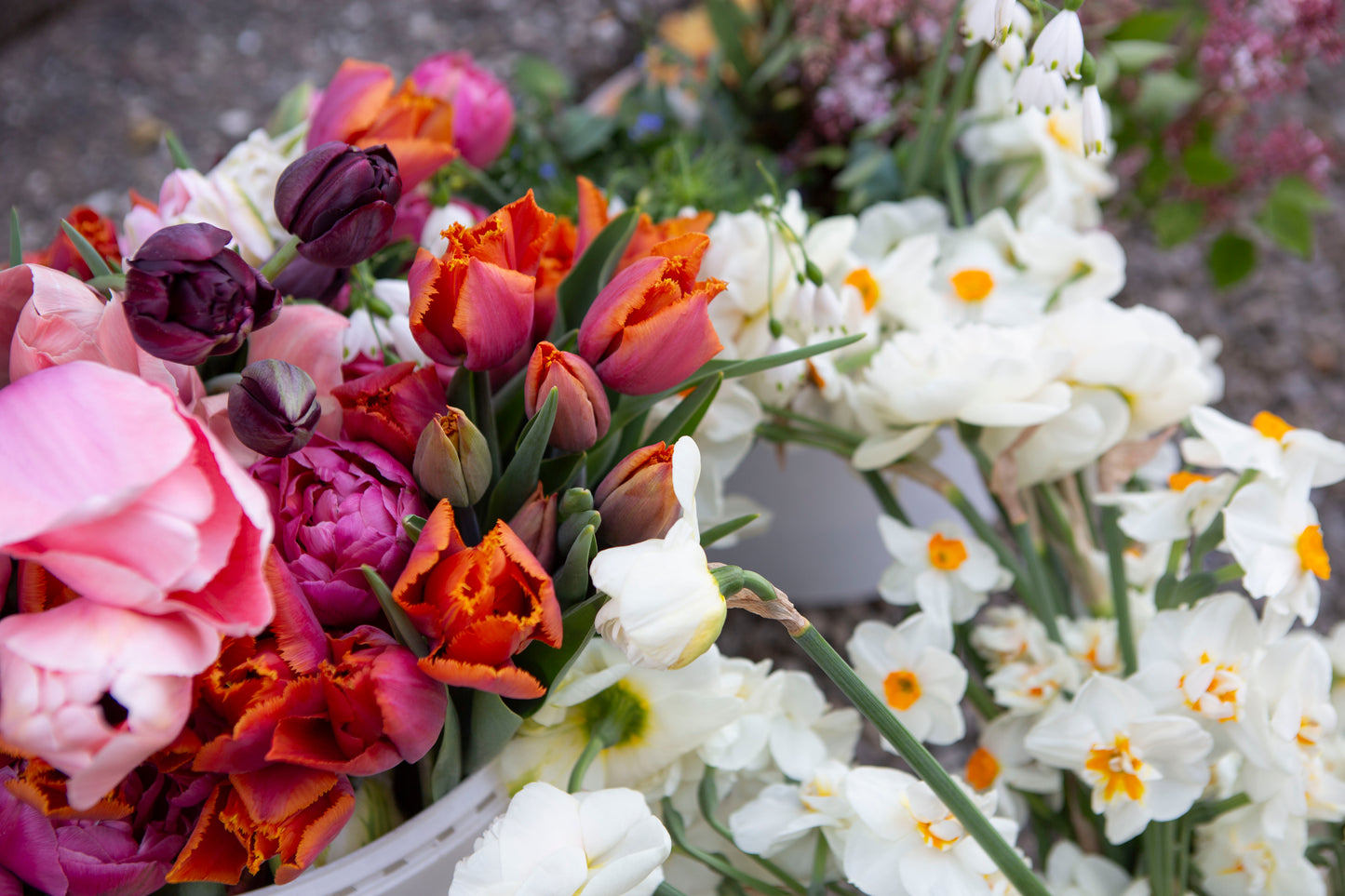 Blumen für Feste, DIY usw.