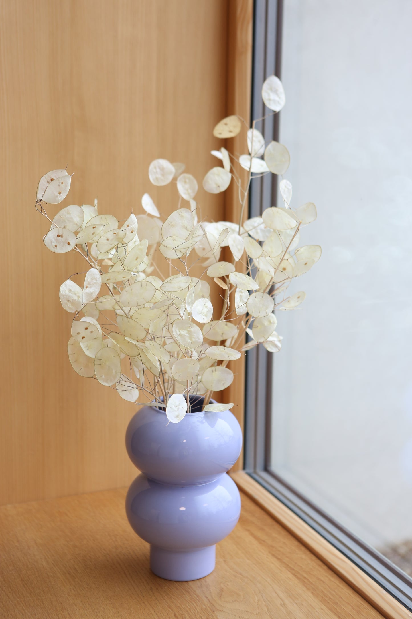 Lunaria