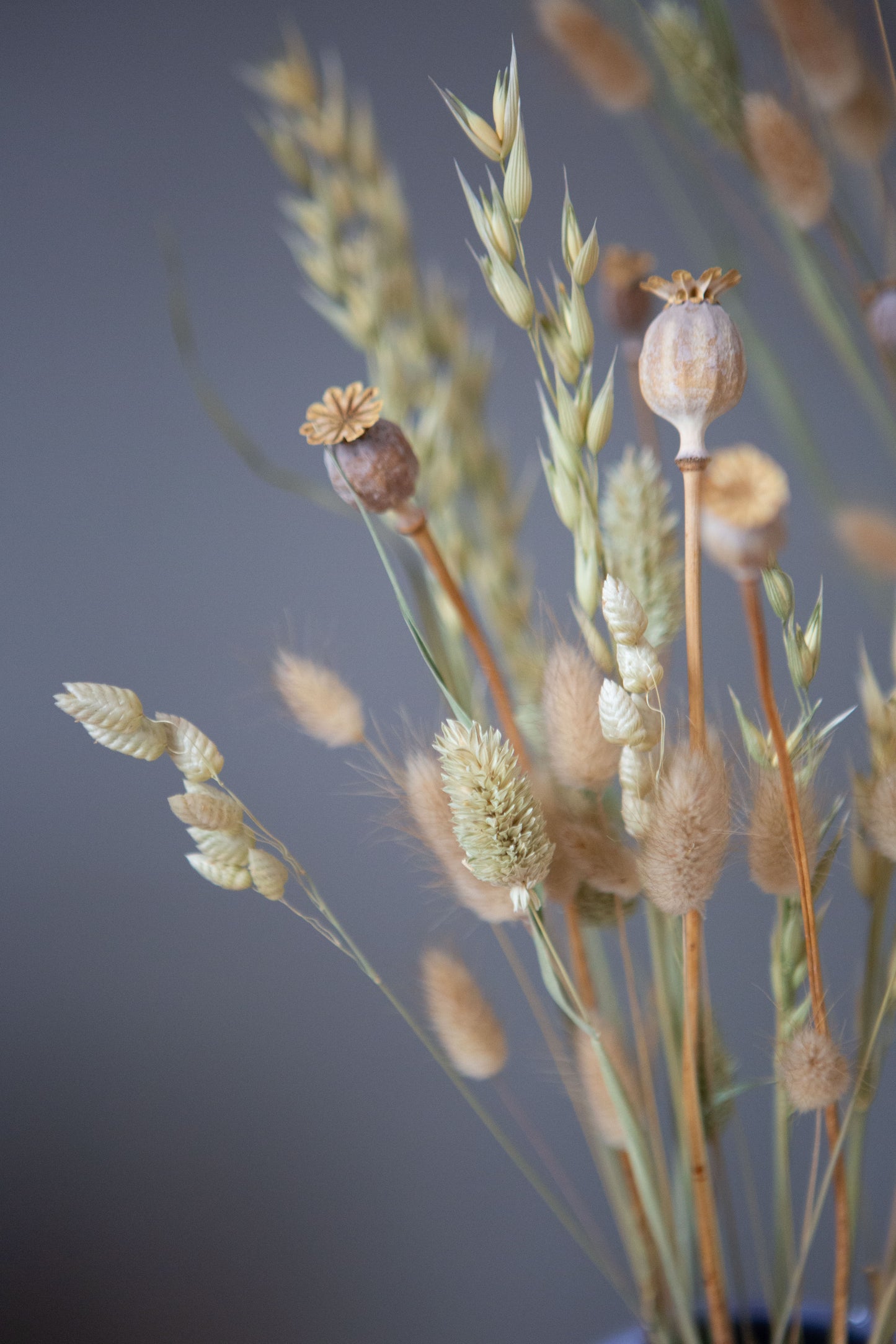 Trockenblumen / Gräser für DIY