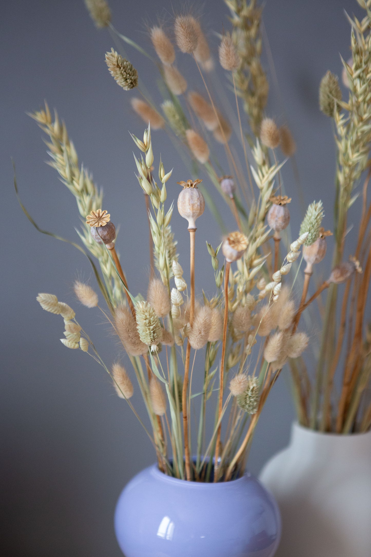 Trockenblumen / Gräser für DIY